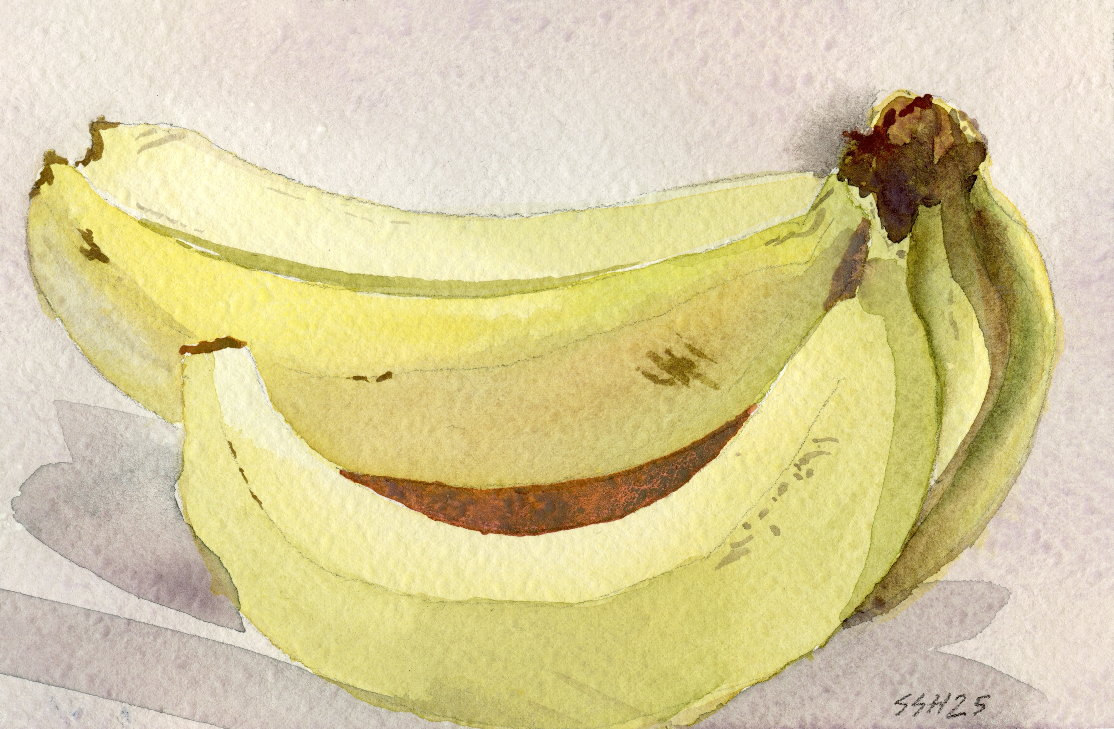 Studio Bananas — watercolor on paper